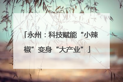 永州：科技赋能“小辣椒”变身“大产业”