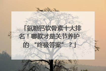 氨糖钙软骨素十大排名！哪款才是关节养护的 “终极答案”？