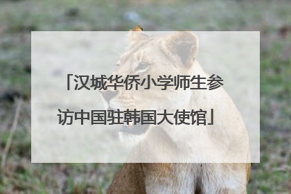 汉城华侨小学师生参访中国驻韩国大使馆