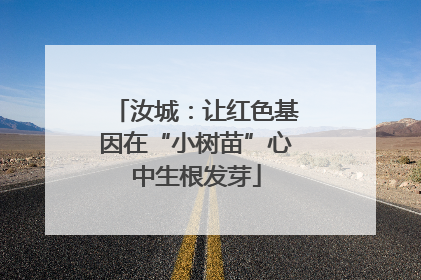 汝城：让红色基因在“小树苗”心中生根发芽