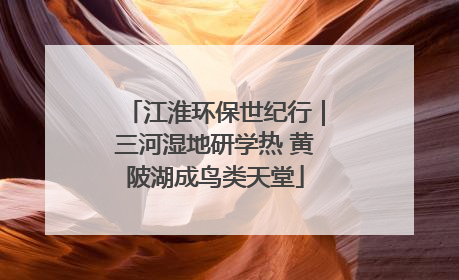 江淮环保世纪行｜三河湿地研学热 黄陂湖成鸟类天堂