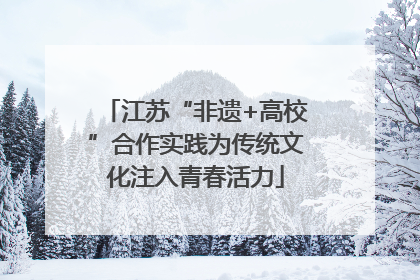 江苏“非遗+高校”合作实践为传统文化注入青春活力