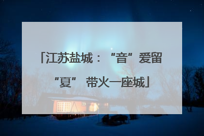 江苏盐城：“音”爱留“夏” 带火一座城