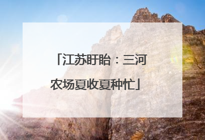 江苏盱眙：三河农场夏收夏种忙
