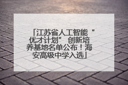 江苏省人工智能“优才计划” 创新培养基地名单公布！海安高级中学入选