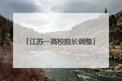 江苏一高校院长调整