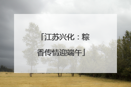 江苏兴化：粽香传情迎端午