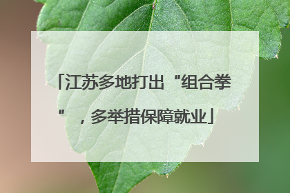 江苏多地打出“组合拳”，多举措保障就业