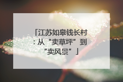 江苏如皋钱长村：从“卖草坪”到“卖风景”