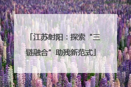 江苏射阳：探索“三链融合”助残新范式
