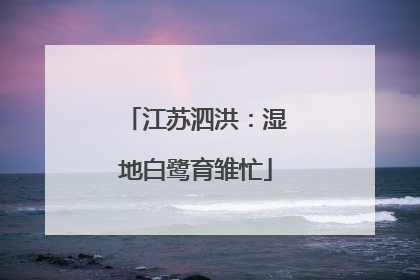 江苏泗洪：湿地白鹭育雏忙