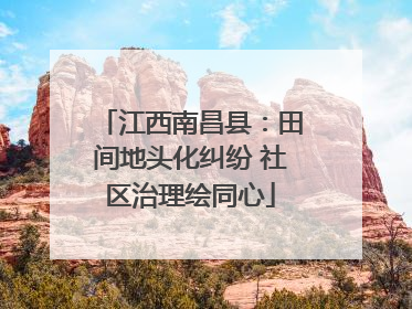 江西南昌县：田间地头化纠纷 社区治理绘同心