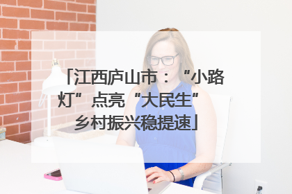 江西庐山市：“小路灯”点亮“大民生” 乡村振兴稳提速