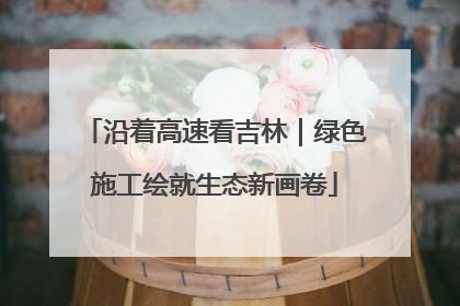沿着高速看吉林｜绿色施工绘就生态新画卷