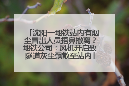 沈阳一地铁站内有烟尘冒出人员捂鼻撤离？地铁公司：风机开启致隧道灰尘飘散至站内