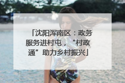 沈阳浑南区：政务服务进村屯，“村政通”助力乡村振兴