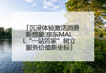 沉浸体验激活消费新想象 京东MALL“一站置家”树立服务价值新坐标