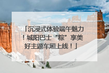 沉浸式体验端午魅力！城阳巴士“粽”享美好主题车厢上线！