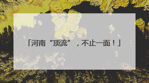 河南“顶流”，不止一面！