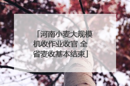 河南小麦大规模机收作业收官 全省麦收基本结束