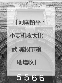 河南镇平：小麦机收大比武 减损节粮助增收