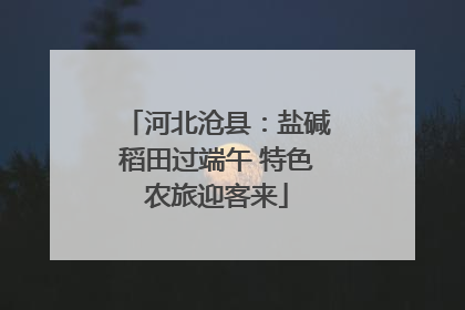 河北沧县：盐碱稻田过端午 特色农旅迎客来