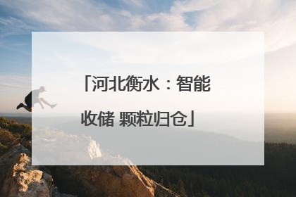 河北衡水：智能收储 颗粒归仓