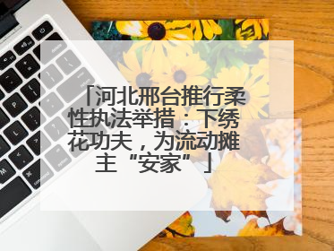 河北邢台推行柔性执法举措：下绣花功夫，为流动摊主“安家”
