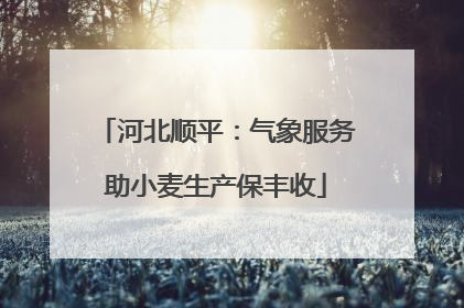 河北顺平：气象服务助小麦生产保丰收
