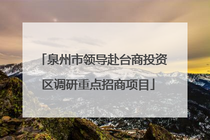 泉州市领导赴台商投资区调研重点招商项目