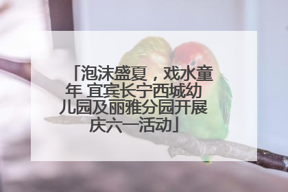 泡沫盛夏，戏水童年 宜宾长宁西城幼儿园及丽雅分园开展庆六一活动