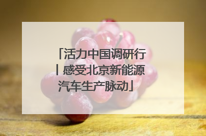 活力中国调研行丨感受北京新能源汽车生产脉动