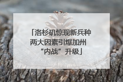 洛杉矶惊现新兵种 两大因素引爆加州“内战”升级