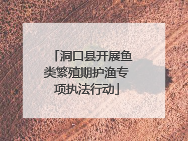 洞口县开展鱼类繁殖期护渔专项执法行动