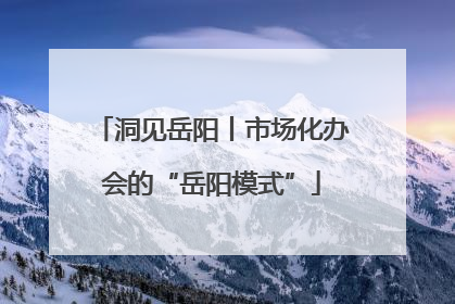 洞见岳阳丨市场化办会的“岳阳模式”