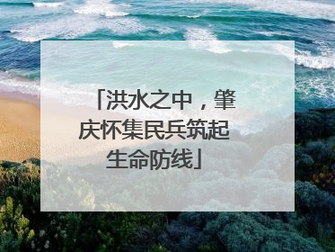 洪水之中，肇庆怀集民兵筑起生命防线