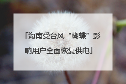 海南受台风“蝴蝶”影响用户全面恢复供电