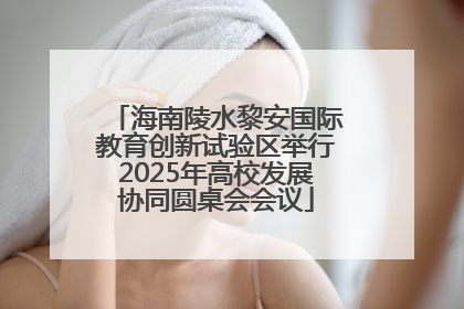 海南陵水黎安国际教育创新试验区举行2025年高校发展协同圆桌会会议