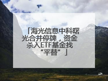 海光信息中科曙光合并停牌，资金杀入ETF基金找“平替”