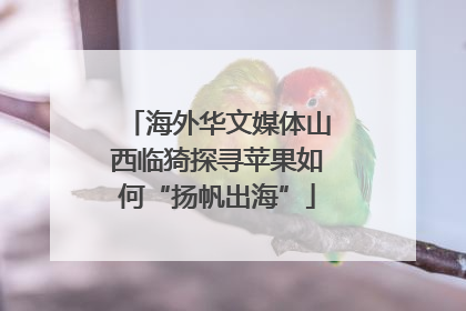 海外华文媒体山西临猗探寻苹果如何“扬帆出海”