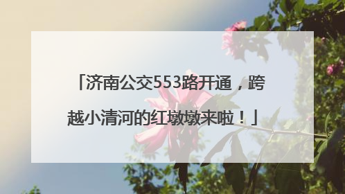 济南公交553路开通，跨越小清河的红墩墩来啦！