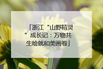 浙江“山野精灵”成长记：万物共生绘就和美画卷
