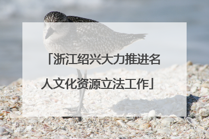 浙江绍兴大力推进名人文化资源立法工作