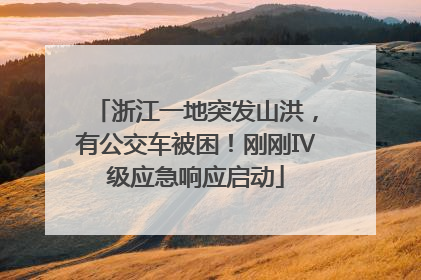 浙江一地突发山洪，有公交车被困！刚刚Ⅳ级应急响应启动