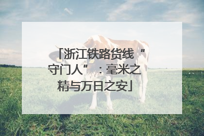 浙江铁路货线“守门人”：毫米之精与万日之安