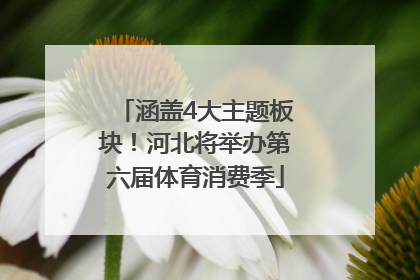 涵盖4大主题板块！河北将举办第六届体育消费季