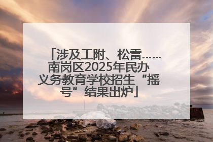 涉及工附、松雷……南岗区2025年民办义务教育学校招生“摇号”结果出炉