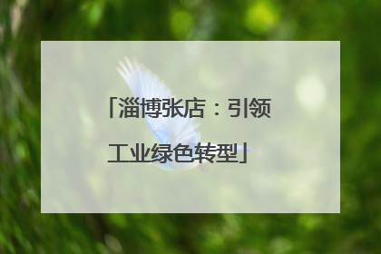 淄博张店：引领工业绿色转型
