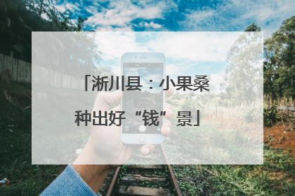 淅川县：小果桑种出好“钱”景