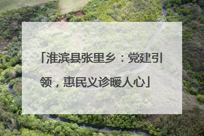淮滨县张里乡：党建引领，惠民义诊暖人心